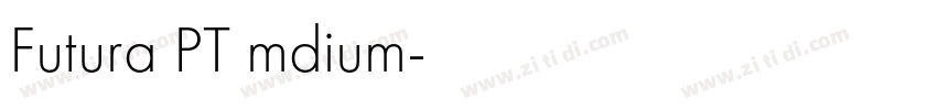 Futura PT mdium字体转换